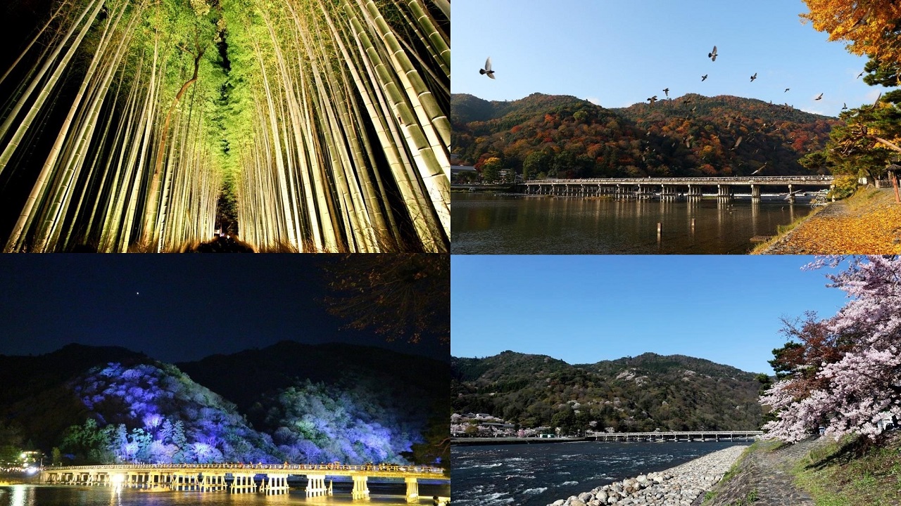 渡月橋&竹林の小径の風景