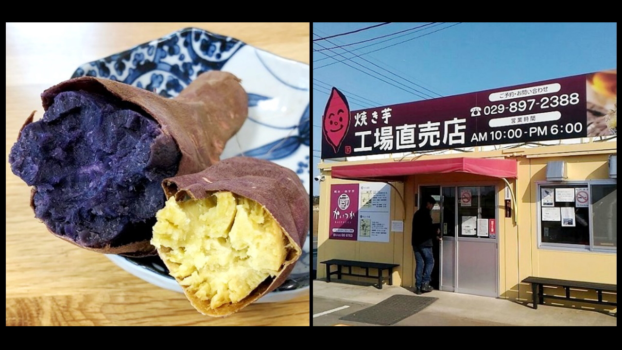 茨城県の人気グルメ素材～紅天使