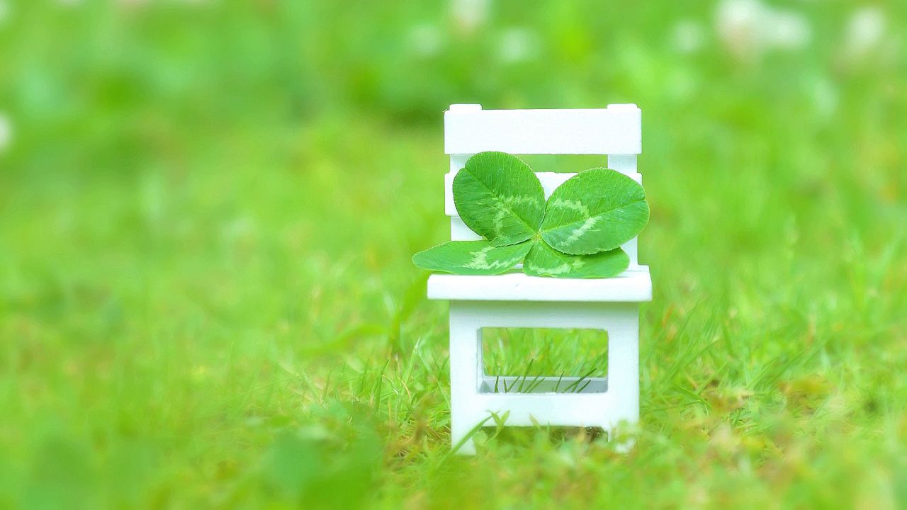 https://www.jpn47.happy-clovers.com/wp-content/uploads/2020/09/CloverChairMV1280.jpg